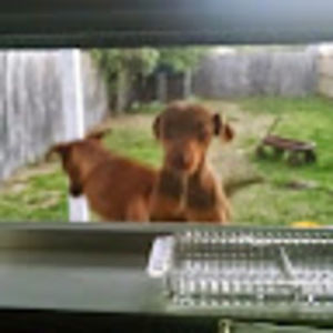 Meet your Posher, Stephen